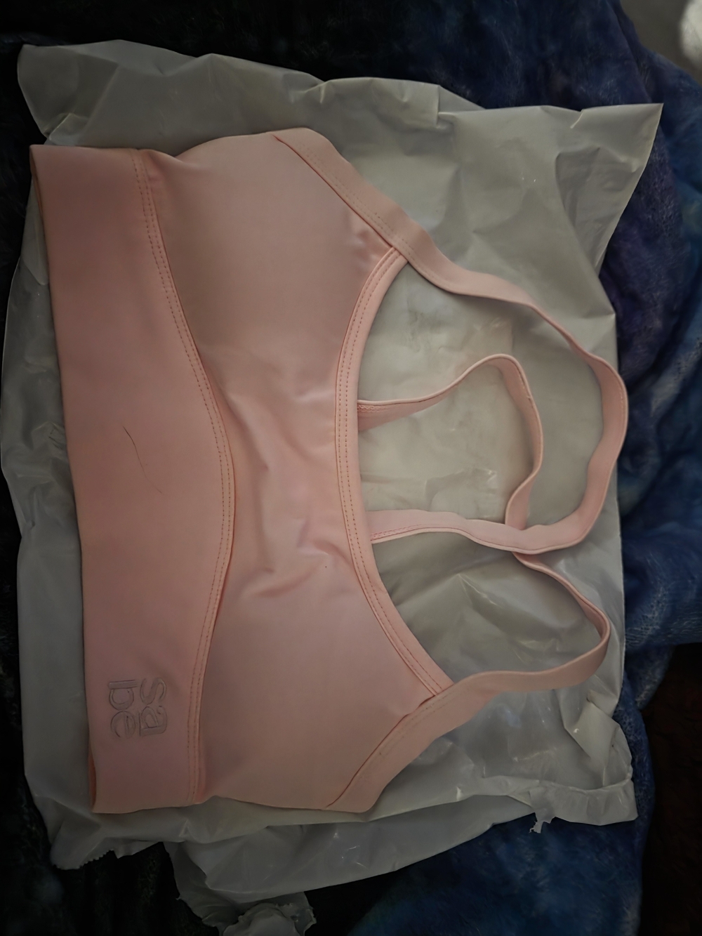 Light Pink Sabe Sports Bra/Top